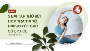 3 Bài Tập Thở Kết Hợp Trà Tía Tô Hibiso Tốt Cho Sức Khỏe