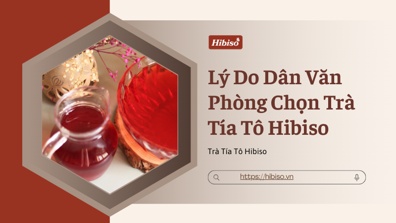 5 Lý Do Dân Văn Phòng Chọn Trà Tía Tô Hibiso Giải Khát