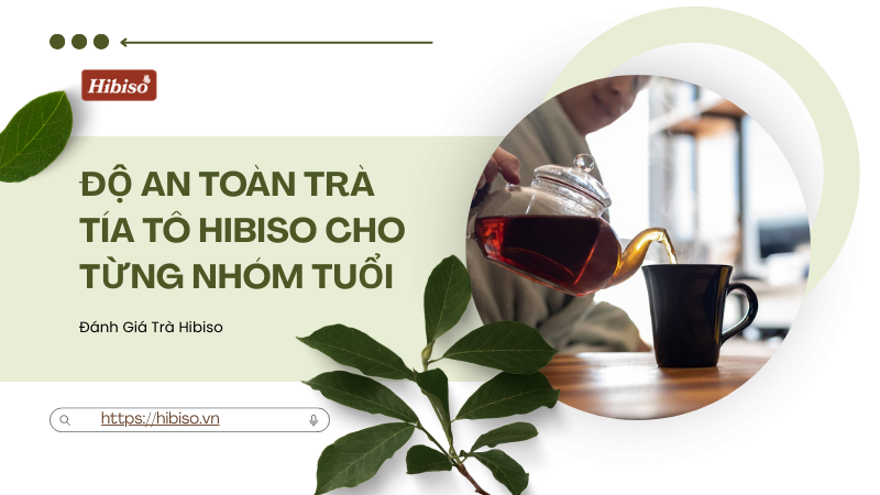 Đánh Giá Độ An Toàn Trà Tía Tô Hibiso Cho Từng Nhóm Tuổi