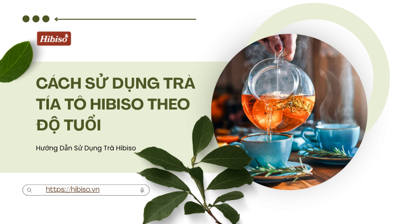 Hướng Dẫn Liều Lượng Và Cách Sử Dụng Trà Tía Tô Hibiso Theo Độ Tuổi