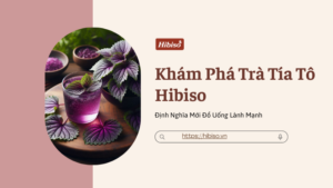 Khám Phá Trà Tía Tô Hibiso - Định Nghĩa Mới Đồ Uống Lành Mạnh