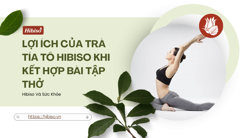 Lợi ích của Trà Tía Tô Hibiso khi kết hợp bài tập thở