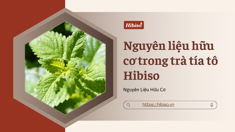 Lợi ích khi dùng nguyên liệu hữu cơ trong trà tía tô Hibiso