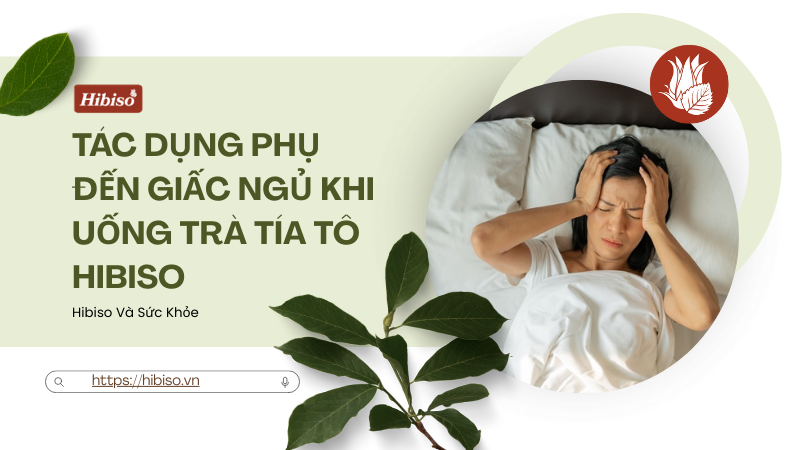 Tác Dụng Phụ Đến Giấc Ngủ Khi Uống Trà Tía Tô Hibiso