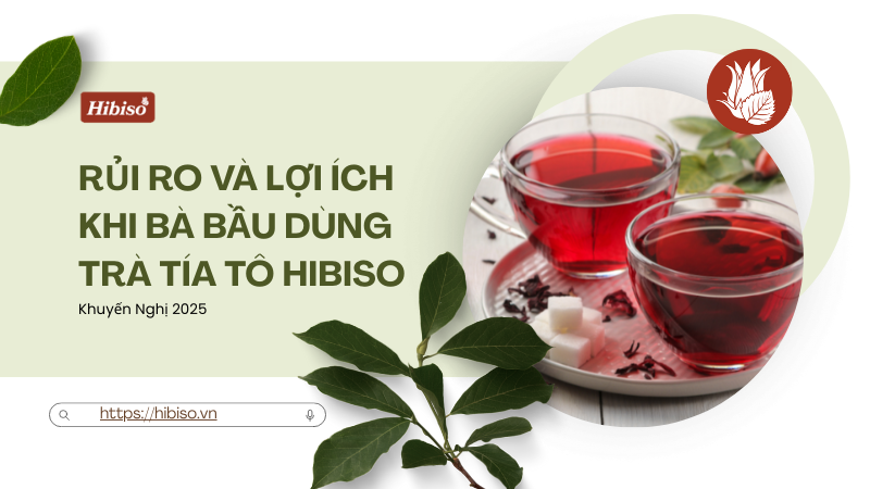 Tác dụng phụ - Rủi ro và lợi ích khi bà bầu dùng trà tía tô Hibiso