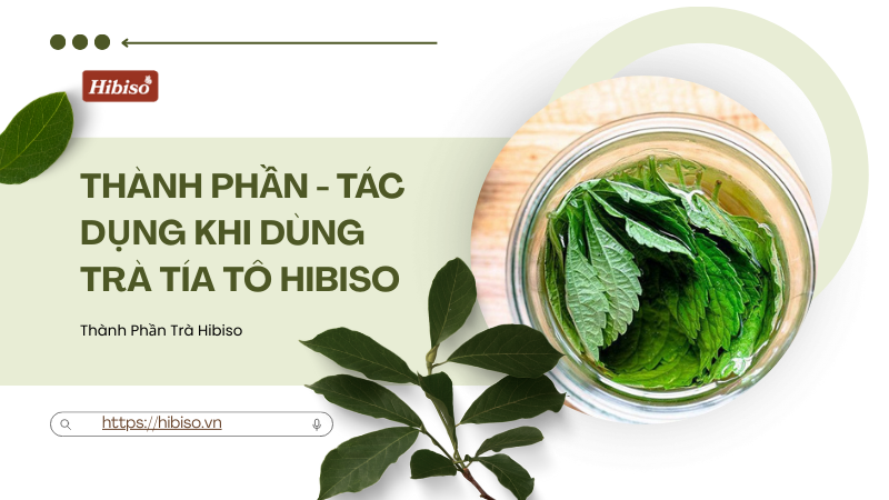 Thành Phần - Tác Dụng Phụ Và Lưu Ý Dị Ứng Khi Dùng Trà Tía Tô Hibiso