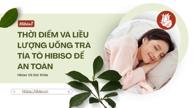 Thời Điểm Và Liều Lượng Uống Trà Tía Tô Hibiso Để An Toàn