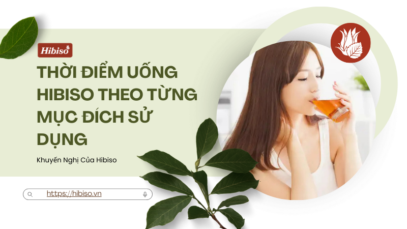 Thời điểm uống Hibiso theo từng mục đích sử dụng
