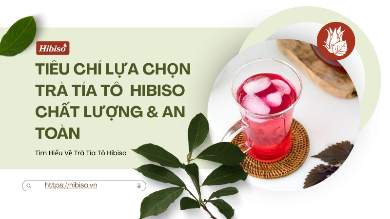 Tiêu chí lựa chọn Hibiso chất lượng & an toàn