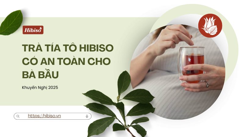 Trà Tía Tô Hibiso Có An Toàn Cho Bà Bầu Năm 2025?
