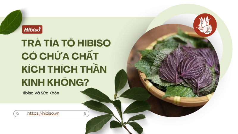 Trà Tía Tô Hibiso Có Chứa Chất Kích Thích Thần Kinh Không?