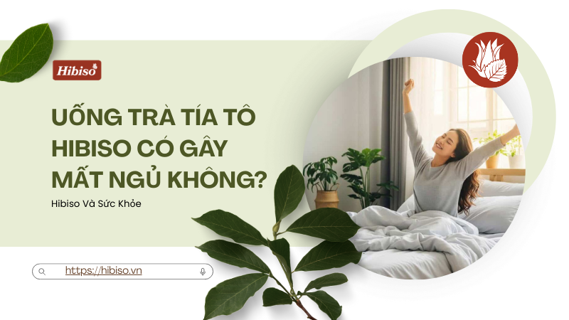 Uống Trà Tía Tô Hibiso Có Gây Mất Ngủ Không?