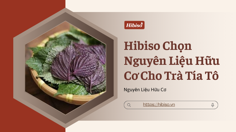 Vì Sao Hibiso Chọn Nguyên Liệu Hữu Cơ Cho Trà Tía Tô?